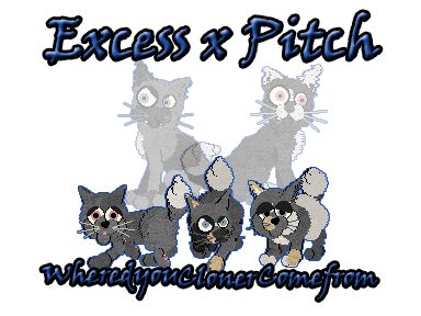 Excess x Pitch