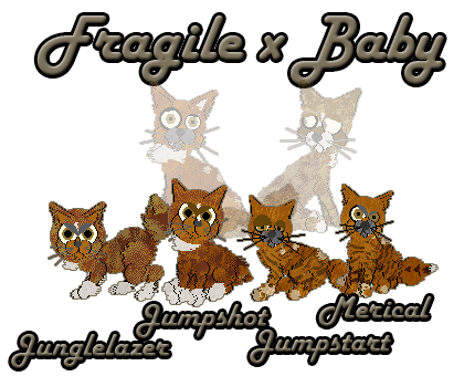Fragile x Baby