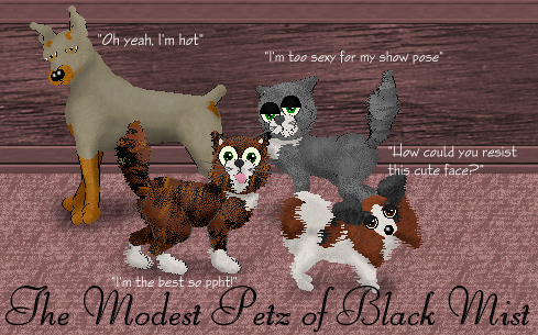 Modest Petz