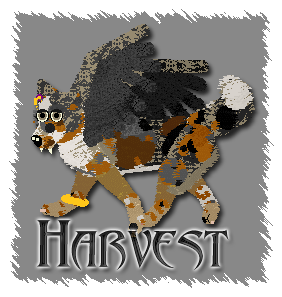 Harvest