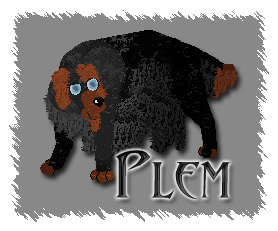 Plem