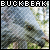 Buckbeak Fan