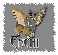 Enchi