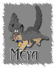 Meya