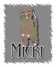 Micki