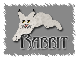 Rabbit