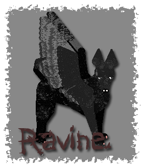 Ravine