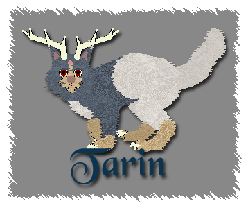 Tarin