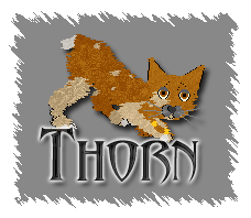 Thorn